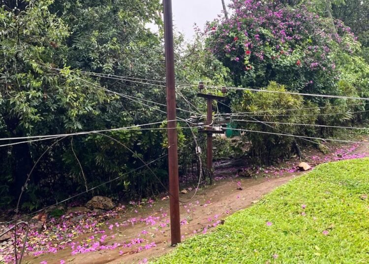 Damage to power network extensive: CM