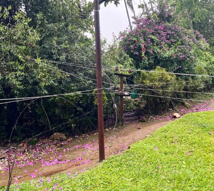 Damage to power network extensive: CM