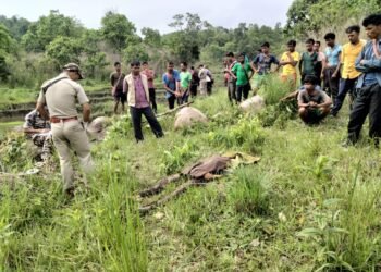 Farmer found murdered in his field in Lapangap