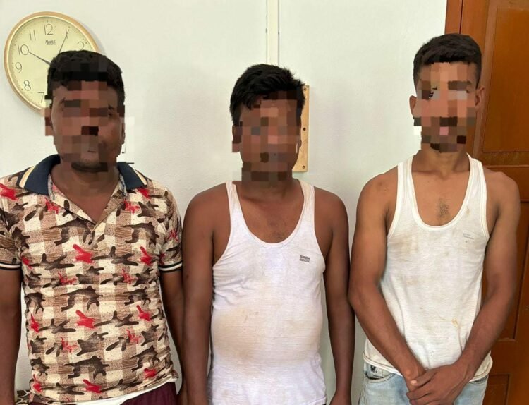BSF rescue 132 cattle, 2 held