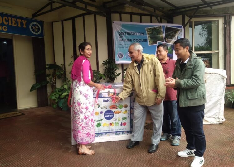 Non-electric device to keep veggies fresh holds out hope for vendors