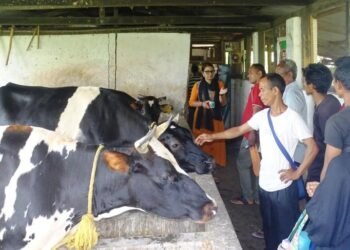 ICAR Tura conducts programme on sustainable dairy farming