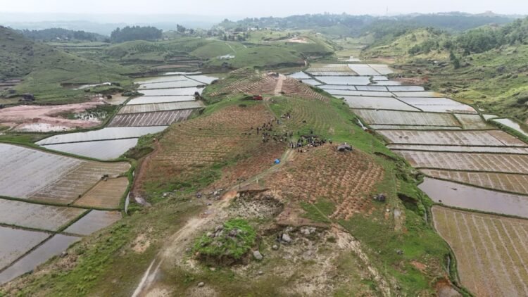 Green issues take centre stage on World Environment Day
