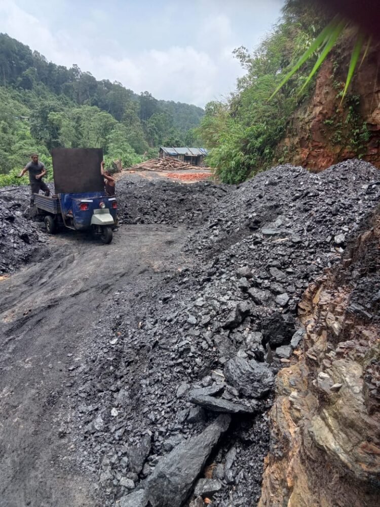 DC asked to probe illegal coal mining