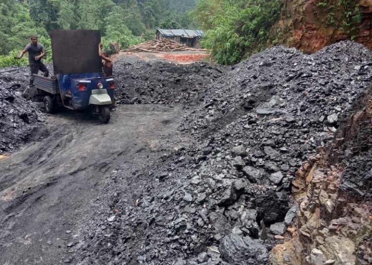 DC asked to probe illegal coal mining
