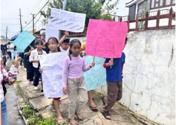 Kids take lead in road safety awareness