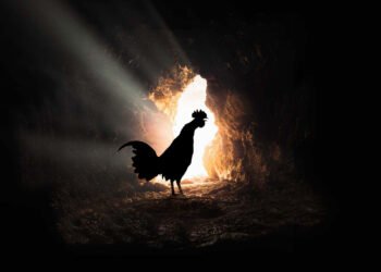 Khasi Matriliny: A Harbinger of Salvation