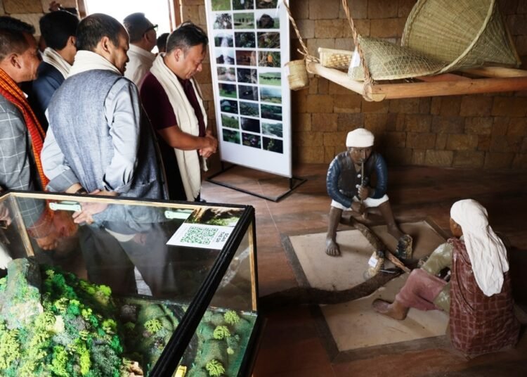 Development that destroys environment crawls: Paul