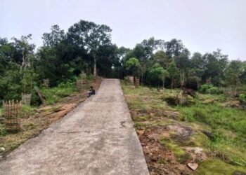 Nur Thlong Park, a new tourist destination in scenic Sohra