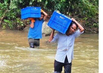 3.5 tons of Meghalaya pineapples exported to Middle East