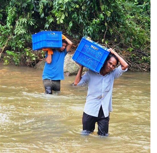 3.5 tons of Meghalaya pineapples exported to Middle East