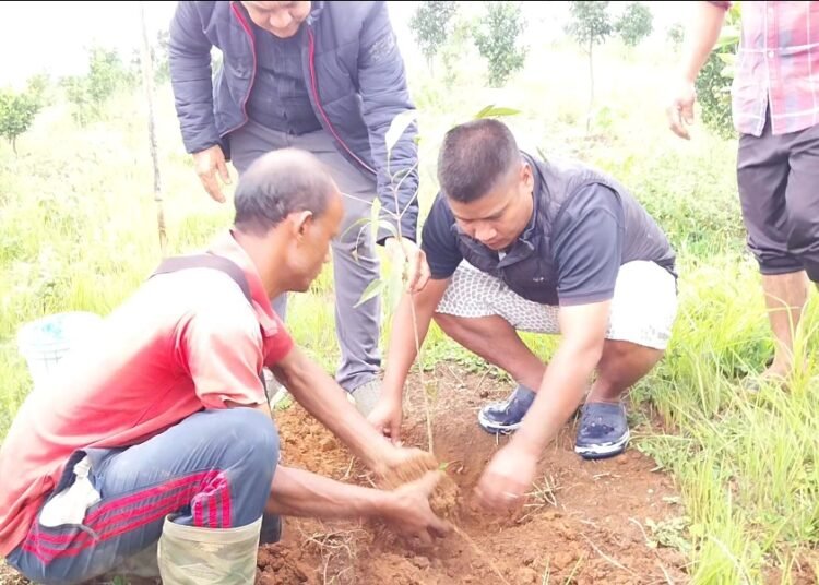 Tree plantation drive held at Madan Mukhlot