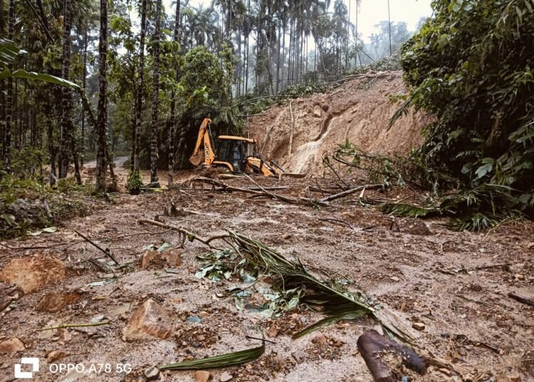 Farmers ripped of livelihood by massive mudslide