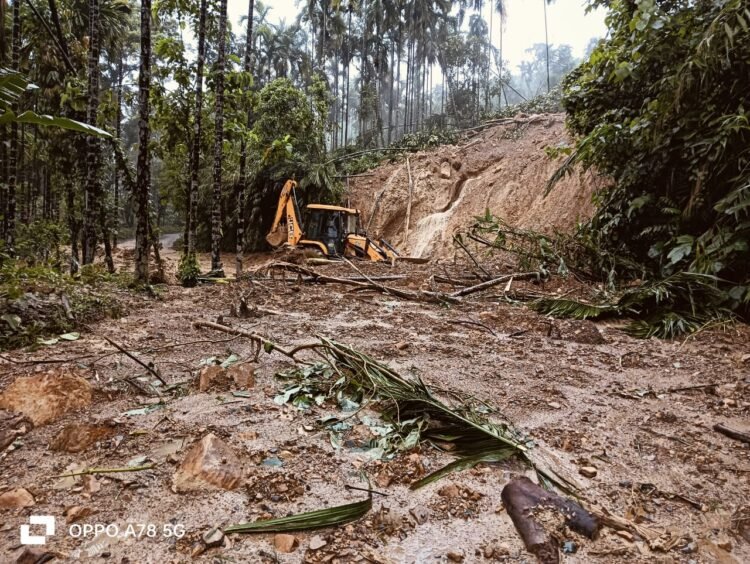 Farmers ripped of livelihood by massive mudslide