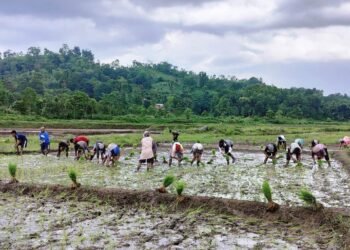 ‘State farmers unable to access Centre’s schemes’ 