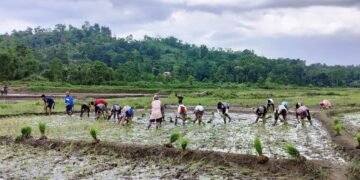 ‘State farmers unable to access Centre’s schemes’