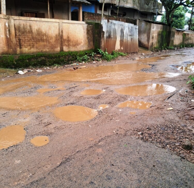 Garo Hills resident pleads for better roads