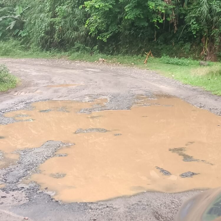 Demand to repair road ‘unattended’ for 50 years