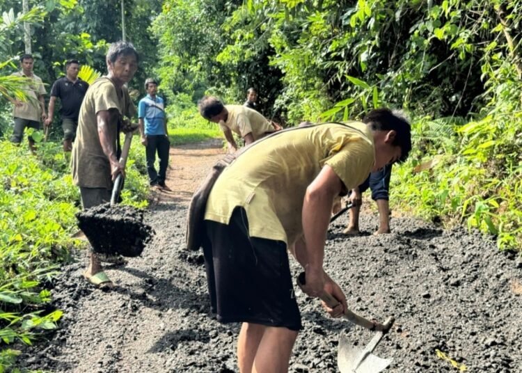 Villagers make DIY road repairs in Ri-Bhoi