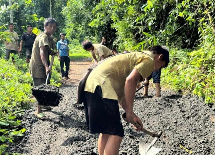 Villagers make DIY road repairs in Ri-Bhoi