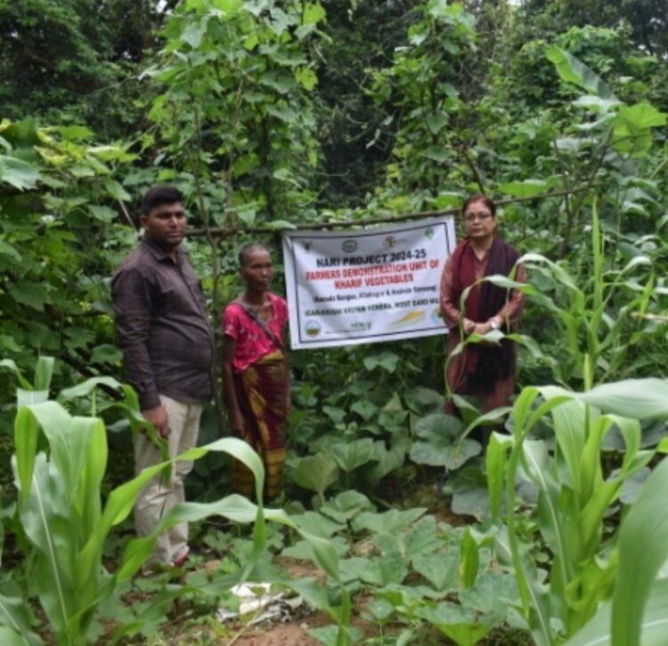 Women farmers empowered through ‘nutri gardens’ in Garo Hills