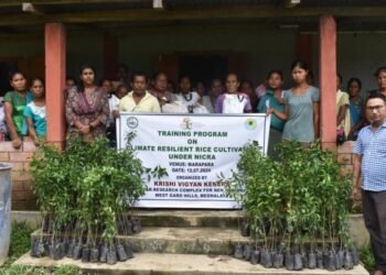 Training on rice cultivation held in Garo Hills