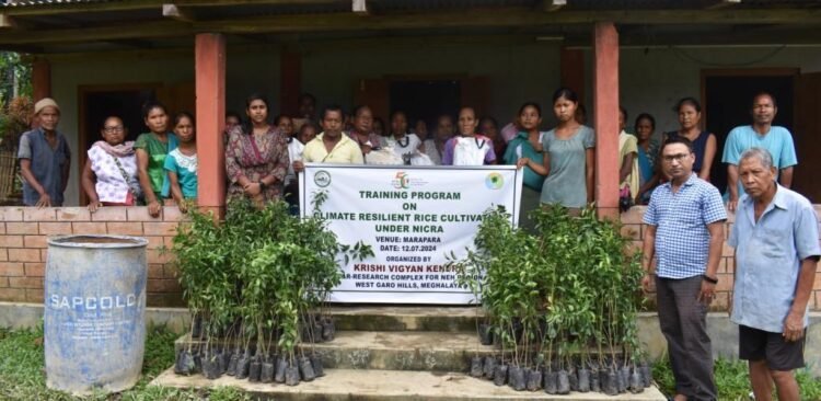 Training on rice cultivation held in Garo Hills