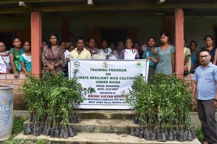 Training on rice cultivation held in Garo Hills