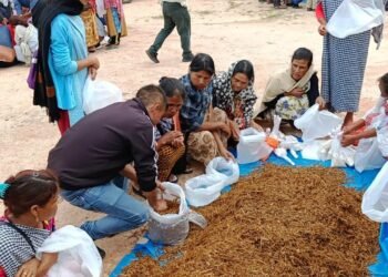 Synod College holds community prog on mushroom cultivation in SWKH