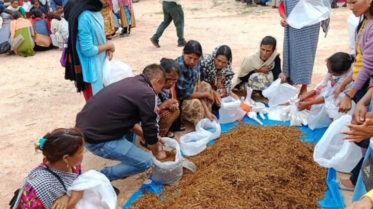 Synod College holds community prog on mushroom cultivation in SWKH