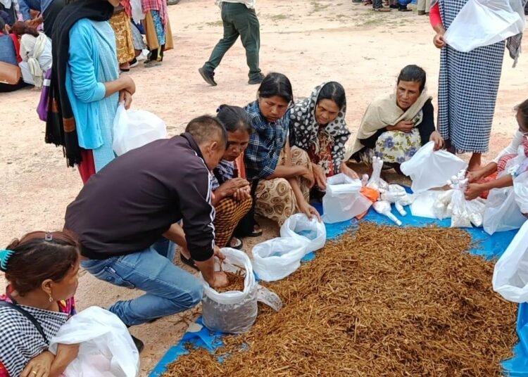 Synod College holds community prog on mushroom cultivation in SWKH