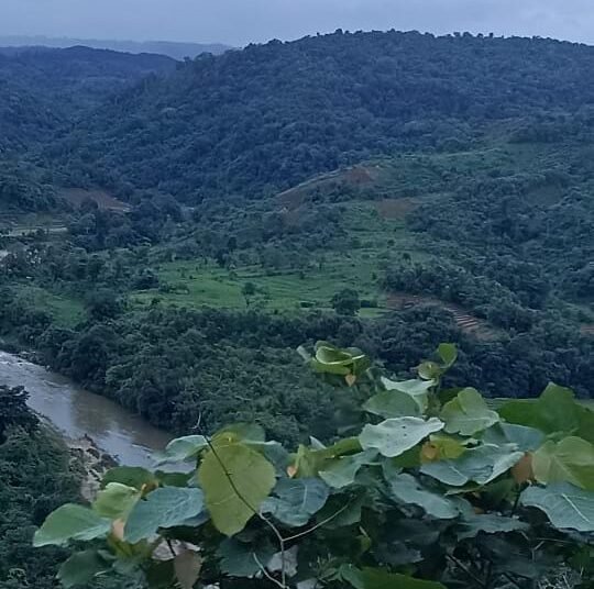 Ahead of public meeting, HITO opposes garbage dump at Nonghali