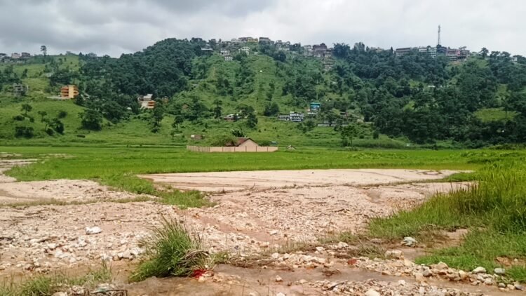 Farmers at loss as bypass construction ruins farmlands