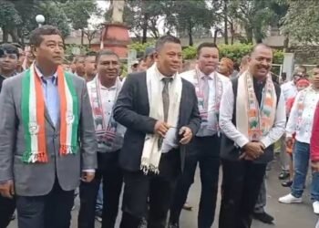 Will work with VPP MP on state issues: Saleng