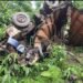Truck destroyed after plunging down gorge, driver miraculously escapes