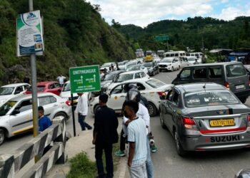 Local cabbies disagree with disruption of tourists’ entry