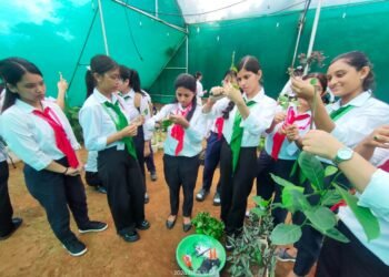 Tura college celebrates World Youth Skills Day