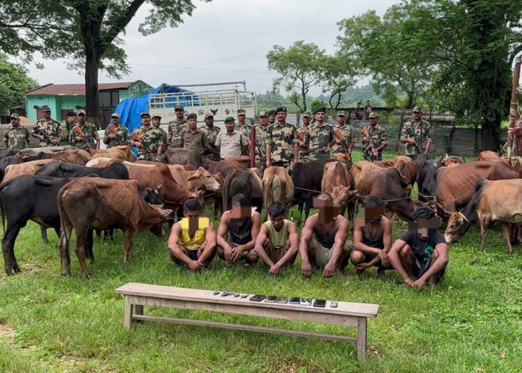 BSF foils attempt to smuggle cattle, 6 nabbed