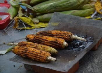 Nestle to work with State to train 500 street food vendors in EKH