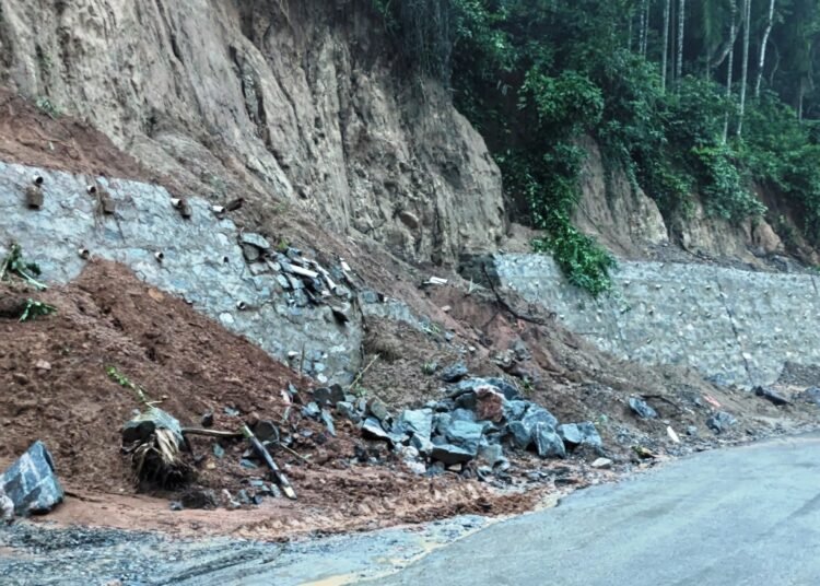 Bad retaining walls threaten roads & homes, says resident