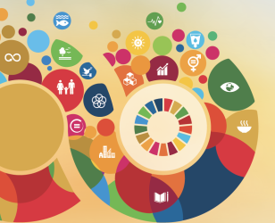 SDG Index: Meghalaya improves but trails NE neighbours
