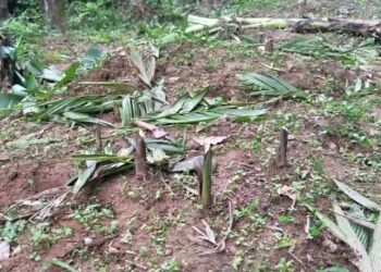 Residents accuse KHADC of destroying their crops in Ri-Bhoi
