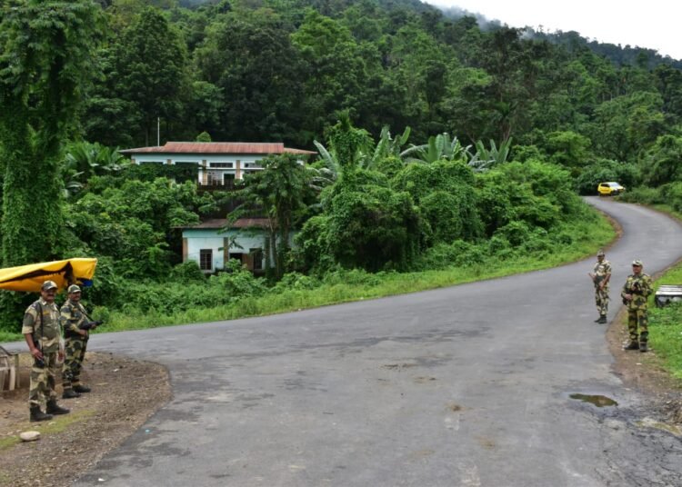 Night curfew without adequate forces will not be enough: VPP