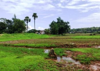 Village heads, FKJGP claim inadequate security along Indo-Bangladesh border