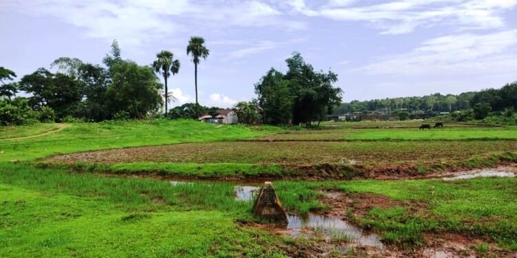 Village heads, FKJGP claim inadequate security along Indo-Bangladesh border