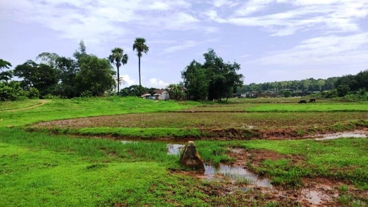 Village heads, FKJGP claim inadequate security along Indo-Bangladesh border