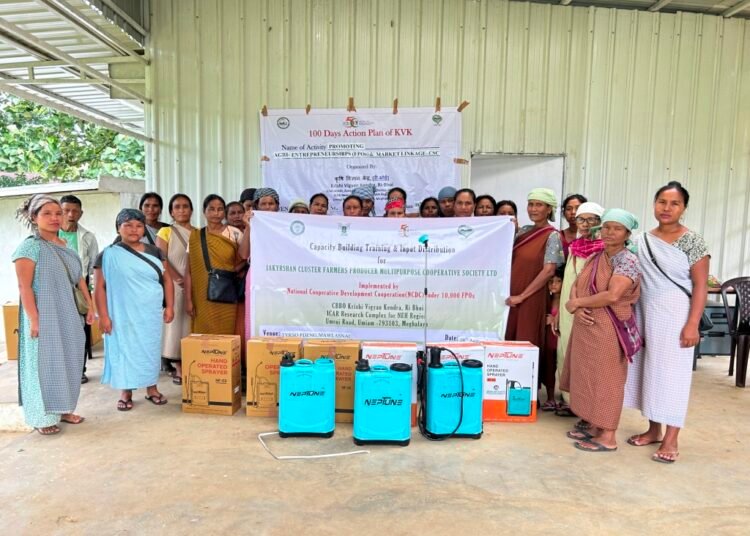 KVK Ri-Bhoi promotes ‘natural farming’ in district