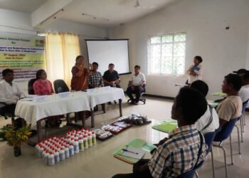 Farmers’ interest group held on cultivation of foxtail millet