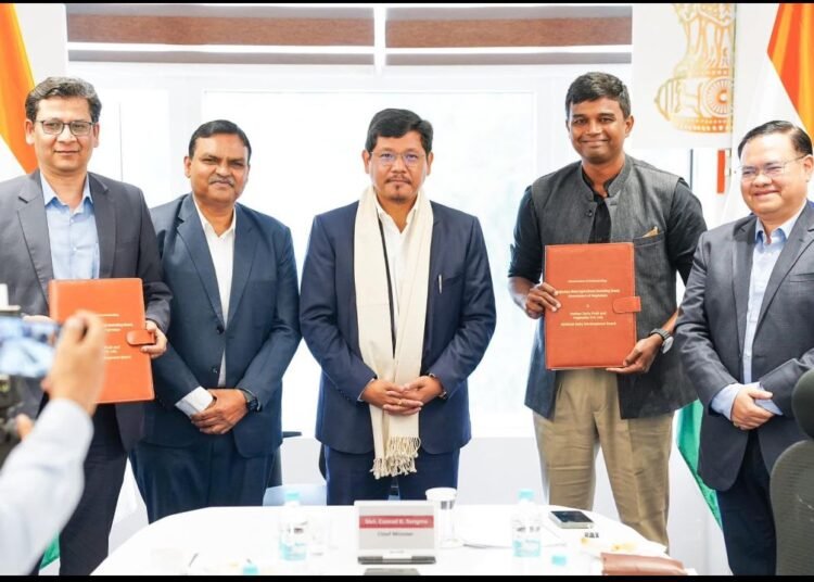 Mother Dairy inks pact to market Meghalaya fruits, veggies