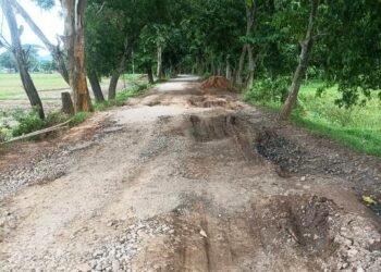 Groups demand restrictions on Bhutan trucks along Selsella-Balachanda